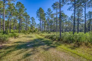 1650 Bear Bay Flats Rd Rd, Laurel Hill, FL 32567 - Photo 31