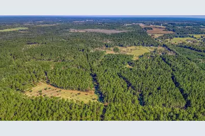 1650 Bear Bay Flats Rd Road, Laurel Hill, FL 32567 - Photo 153