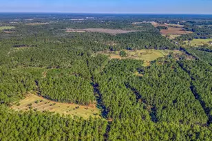 1650 Bear Bay Flats Rd Rd, Laurel Hill, FL 32567 - Photo 153