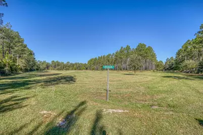 1650 Bear Bay Flats Rd Road, Laurel Hill, FL 32567 - Photo 9