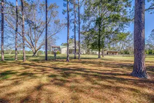 1650 Bear Bay Flats Rd Rd, Laurel Hill, FL 32567 - Photo 49