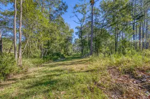 1650 Bear Bay Flats Rd Rd, Laurel Hill, FL 32567 - Photo 21