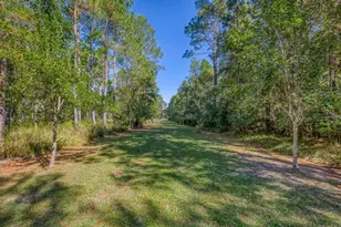 1650 Bear Bay Flats Rd Rd, Laurel Hill, FL 32567 - Photo 39