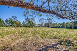 1650 Bear Bay Flats Rd Rd, Laurel Hill, FL 32567 - Photo 65