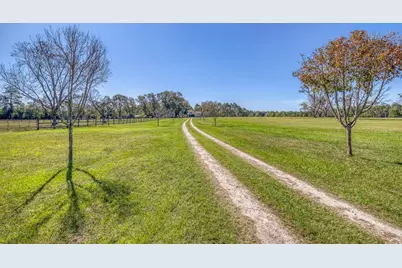 1650 Bear Bay Flats Rd Road, Laurel Hill, FL 32567 - Photo 59