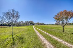 1650 Bear Bay Flats Rd Rd, Laurel Hill, FL 32567 - Photo 59