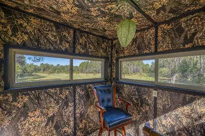 1650 Bear Bay Flats Rd Road, Laurel Hill, FL 32567 - Photo 5