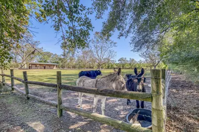 1650 Bear Bay Flats Rd Road, Laurel Hill, FL 32567 - Photo 43
