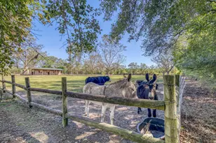 1650 Bear Bay Flats Rd Rd, Laurel Hill, FL 32567 - Photo 43