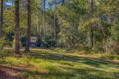 1650 Bear Bay Flats Rd Road, Laurel Hill, FL 32567 - Photo 11