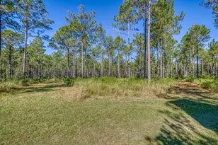1650 Bear Bay Flats Rd Rd, Laurel Hill, FL 32567 - Photo 29