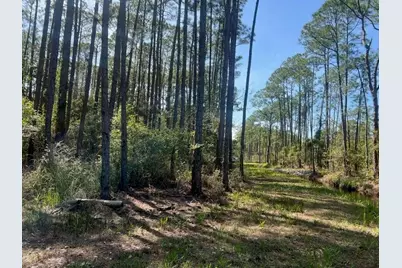 Lot 4 Whisper Lane, Santa Rosa Beach, FL 32459 - Photo 19