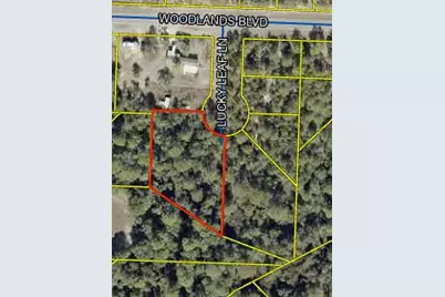 Tbd Lucky Leaf Lane, Defuniak Springs, FL 32433 - Photo 1