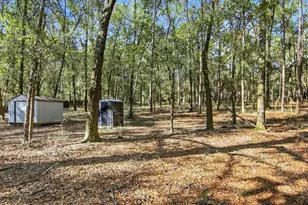 6108 Old River Rd, Baker, FL 32531 - Photo 35