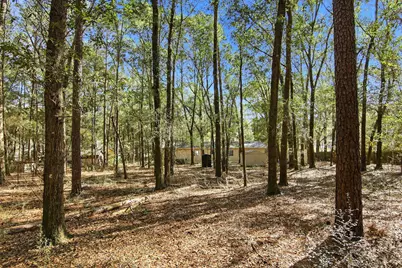 6108 Old River Road, Baker, FL 32531 - Photo 35