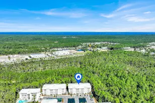 179 S County 393 Hwy, Santa Rosa Beach, FL 32459 - Photo 39