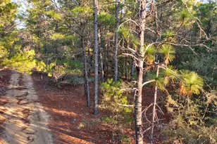 92 Duke Dr, Defuniak Springs, FL 32433 - Photo 1