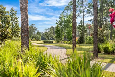 33 Caymus Cove, Freeport, FL 32439 - Photo 113