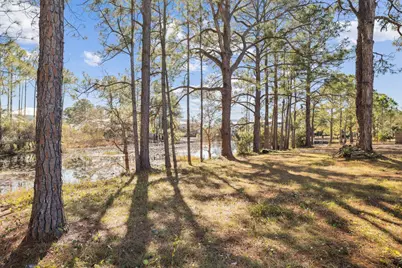 65 Lakeview Drive, Santa Rosa Beach, FL 32459 - Photo 9