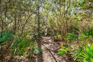 611 Amelia Ln, Santa Rosa Beach, FL 32459 - Photo 55