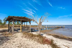 611 Amelia Ln, Santa Rosa Beach, FL 32459 - Photo 49