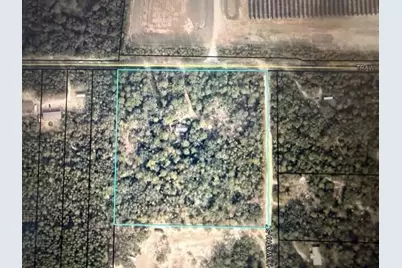 Tbd Parcel B+/- 2 Ac Trawick Creek Road, Holt, FL 32564 - Photo 3