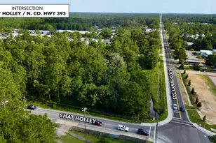 0 N County Hwy 393, Santa Rosa Beach, FL 32459 - Photo 1