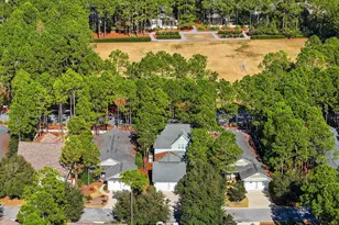 302 Jack Knife Drive, Inlet Beach, FL 32461 - Photo 43