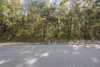 Lot 15 Morrison Avenue, Santa Rosa Beach, FL 32459 - Photo 9