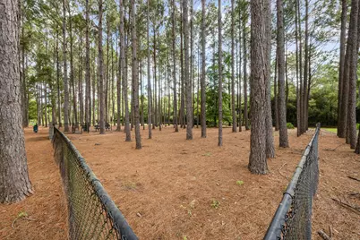 110 Cornelia Street, Freeport, FL 32439 - Photo 51