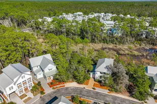 302 Cabana Trail, Santa Rosa Beach, FL 32459 - Photo 53