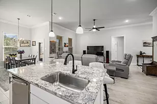 132 E Tweet St, Freeport, FL 32439 - Photo 13