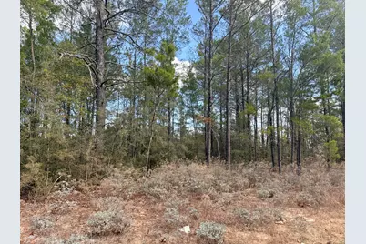 Lot 2 Blk 8 On E Violet Lane, Defuniak Springs, FL 32433 - Photo 7