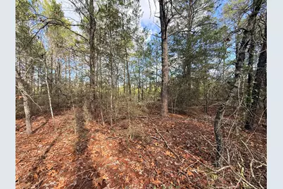 Lot 2 Blk 8 On E Violet Lane, Defuniak Springs, FL 32433 - Photo 5
