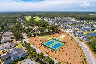 289 Catface Dr, Inlet Beach, FL 32461 - Photo 43