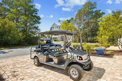 234 Grande Pointe Circle, Inlet Beach, FL 32461 - Photo 45