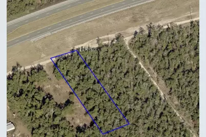 20820 Highway 231, Fountain, FL 32438 - Photo 5
