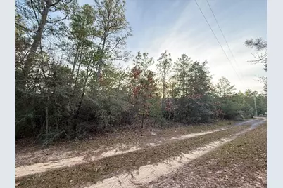 Lots 9-11 Tangerine & Lot 2 Girl Scout, Defuniak Springs, FL 32433 - Photo 5