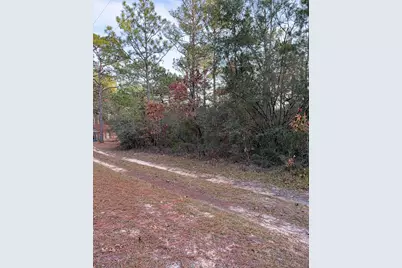 Lots 9-11 Tangerine & Lot 2 Girl Scout, Defuniak Springs, FL 32433 - Photo 7