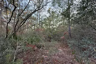 Lots 9-11 Tangerine & Lot 2 Girl Scout, Defuniak Springs, FL 32433 - Photo 11