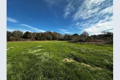 5+/- Ac Charlie Day Road, Baker, FL 32531 - Photo 1