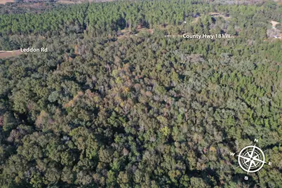 0 W Co Highway 181, Defuniak Springs, FL 32433 - Photo 5