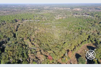 0 W Co Highway 181, Defuniak Springs, FL 32433 - Photo 3