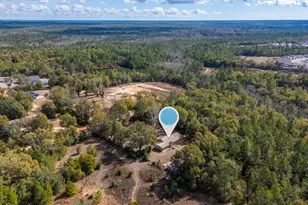 3174 Earl Kennedy Rd, Crestview, FL 32539 - Photo 37