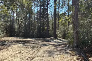 507 Stewart Dr, Defuniak Springs, FL 32433 - Photo 49