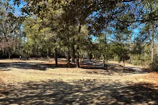 507 Stewart Dr, Defuniak Springs, FL 32433 - Photo 45