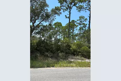 207 Signal Lane, Port Saint Joe, FL 32456 - Photo 3