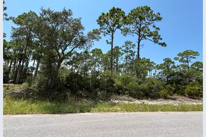 207 Signal Lane, Port Saint Joe, FL 32456 - Photo 11