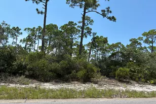 207 Signal Ln, Port Saint Joe, FL 32456 - Photo 1