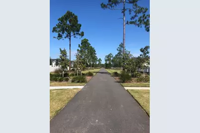 117 Roundwood Drive, Watersound, FL 32461 - Photo 25